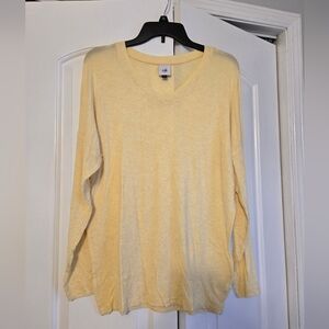 Cabi V-Neck Long Sleeve Top